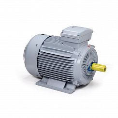 Электродвигатель ESQ PR 225 M2-SDN-Б1-S12-IE2 45/3000 IMB3