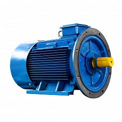 Электродвигатель 5АИ 280 S4 110/1500 IM2001