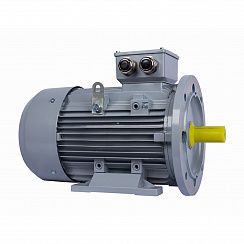 Электродвигатель ESQ PR 112 M4-SDN-Б1-S12-IE2 4/1500 IMB35