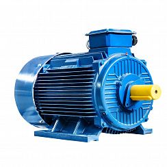 Электродвигатель 5АИ 355 MLB4 400/1500 IM1001