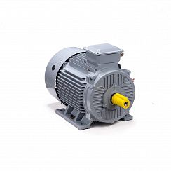 Электродвигатель ESQ PR 280 S4 GST-Б1-S12-IE2 110/1500 IM1001